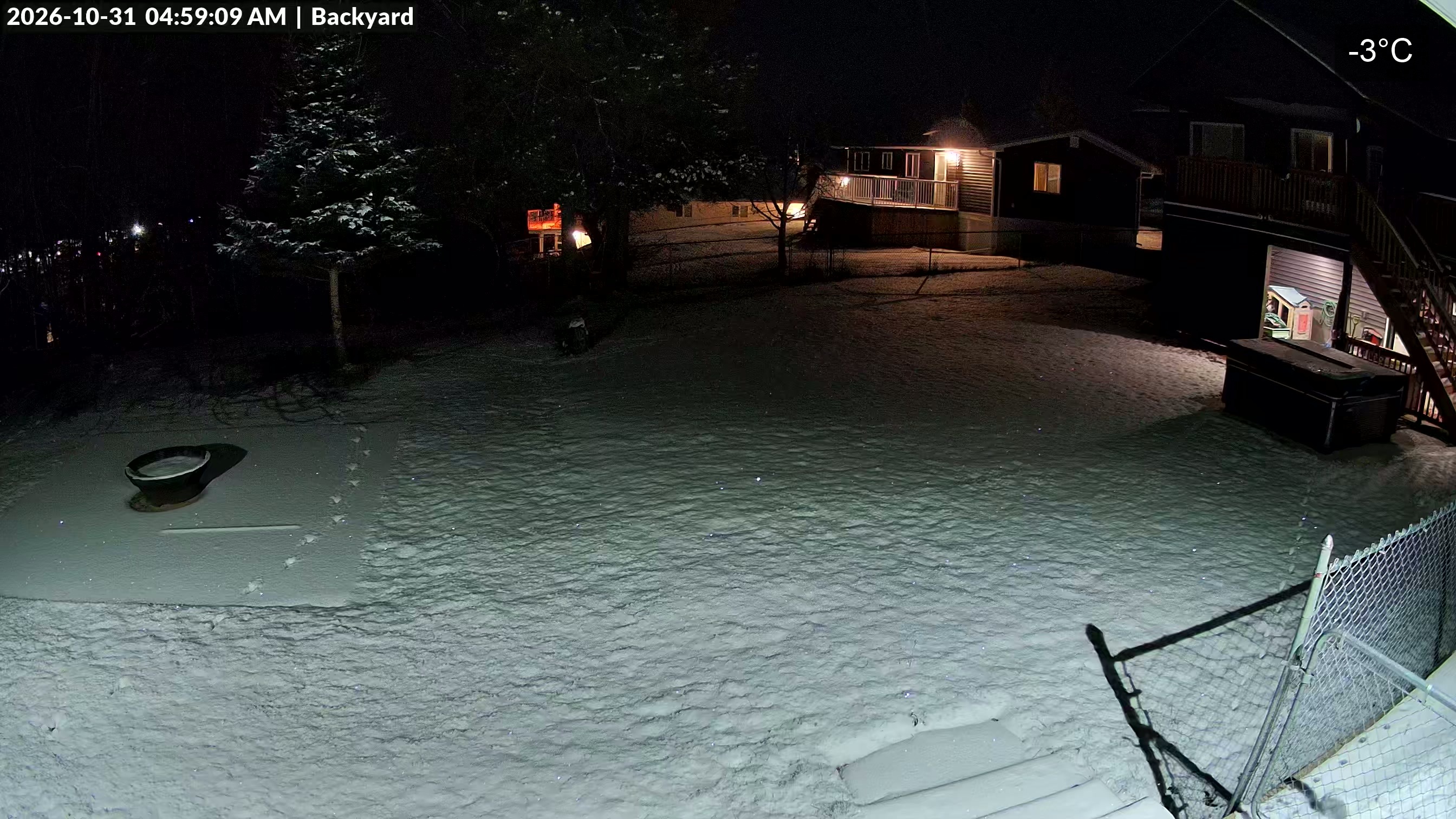 backyard.jpeg